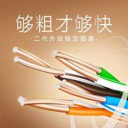 哥伦布旗舰店 网线与网络连接的可靠之选